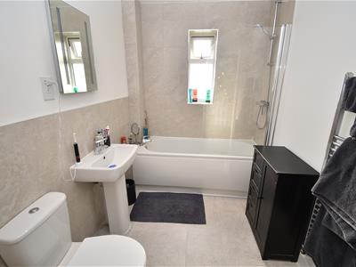 Picture 16